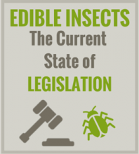 Edible Insects - The current state of legislation